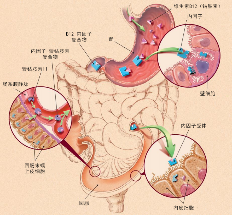 圖片1.png 圖片1.png