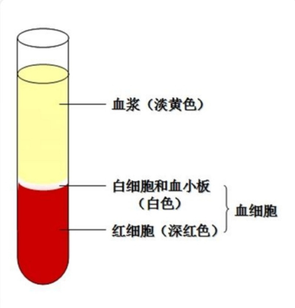 960d012ce47a6a80329602d43899166.png 960d012ce47a6a80329602d43899166.png