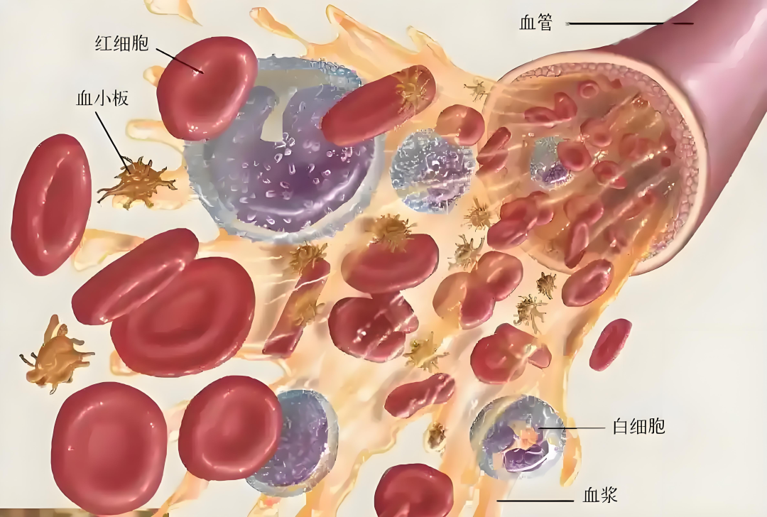 圖片2.png 圖片2.png