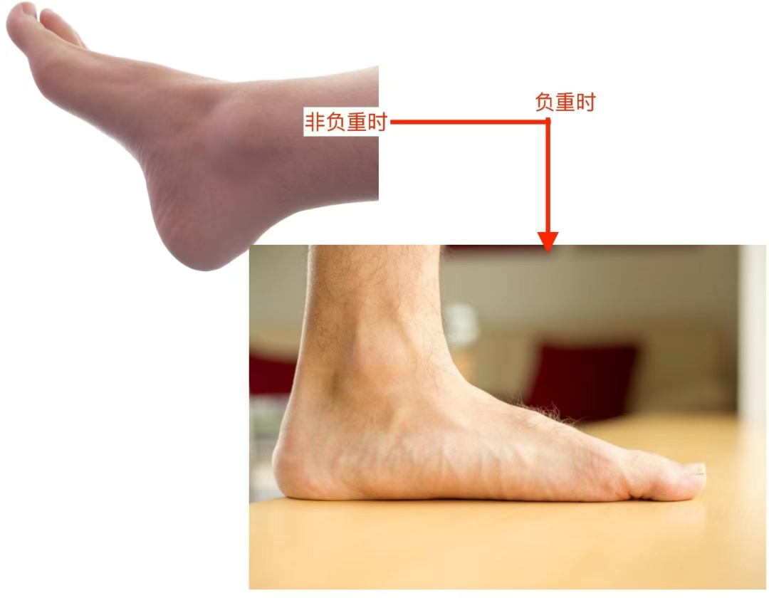 9e9c1f4c4fc01c176f199710b41f71e.png