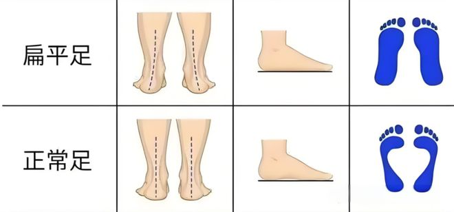 9a4d5767a0e1f63d17f96032802a56c.png