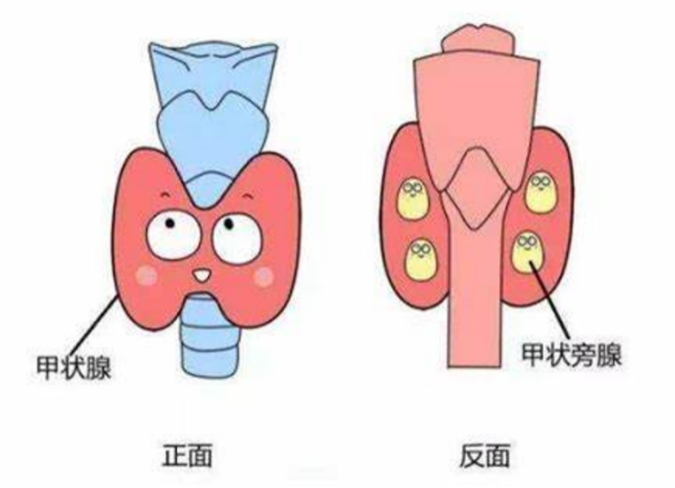 圖片1.png 圖片1.png